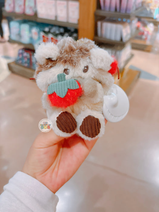 SHDL - 2026 Hedgehog Winnie the Pooh Collection x Reverible Plush Keychain