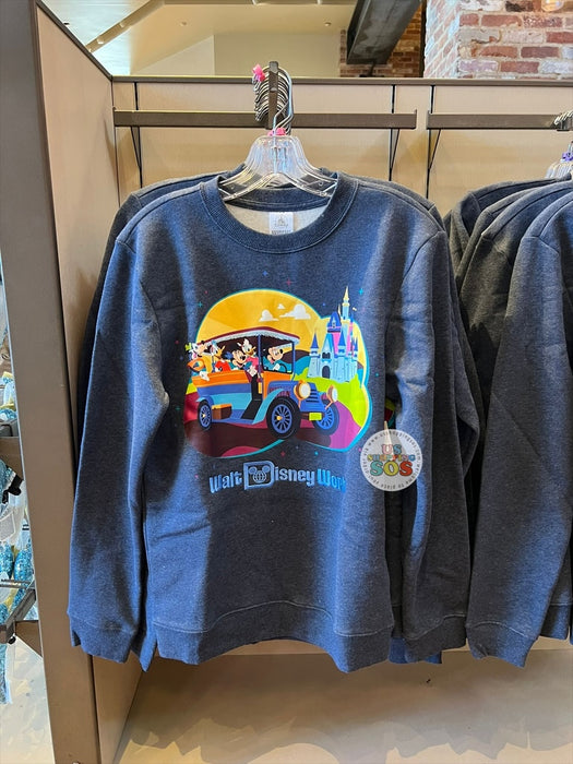 DLR/WDW - Play in the Park 2026 - Mickey & Friends Dark Grey Pullover (Adult)