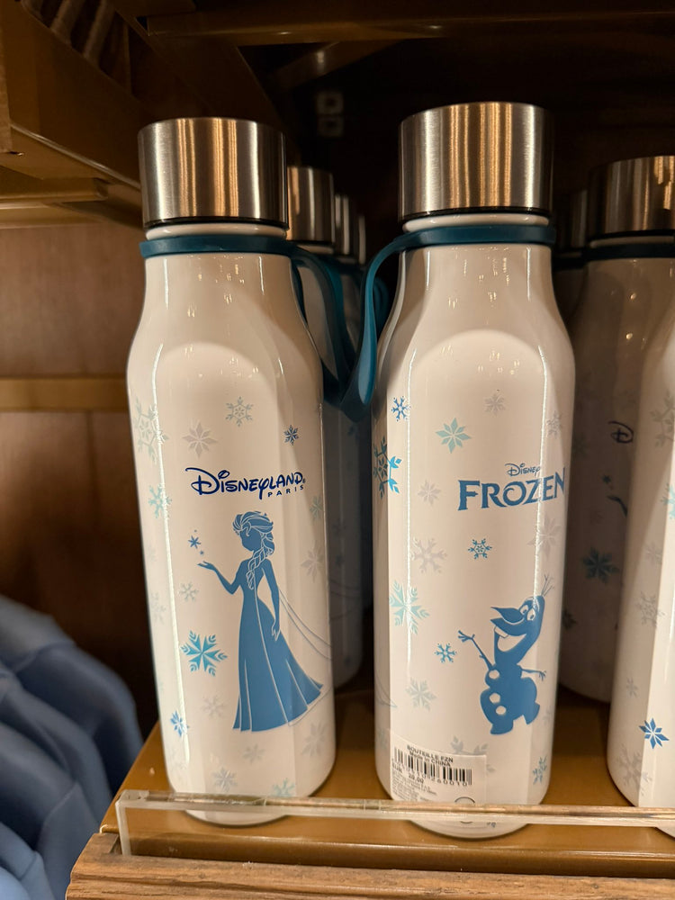 DLP - 2026 World of Frozen x Elsa & Olaf Stainless Steel Bottle
