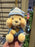 DLR/WDW - Pooh & Friends Summer Garden 2026 - Pooh Plush Keychain