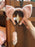 HKDL - LinaBell Ear Headband with Fluffy Tail