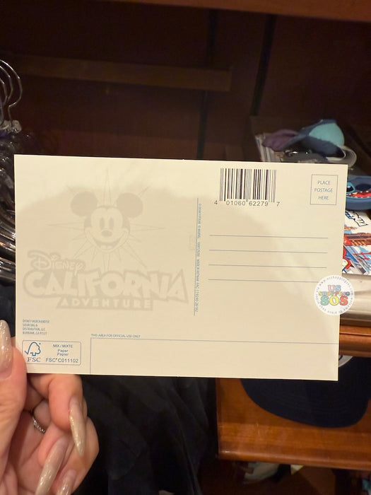 DLR - Disney California Adventure Park Skyline 2026 - Postcard
