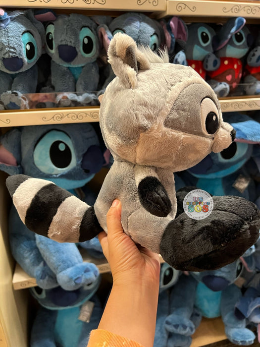 DLR/WDW - Pocahontas 30 Years - Meeko Big Feet Plush Toy