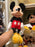 DLR/WDW - Mickey & Friends Plush Toy - Mickey (Size L)