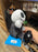 HKDL - 2026 Disney Halloween -The Nightmare Before Christmas x Jack Skellington Shoulder Plush Toy