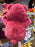 HKDL - Lotso Food Carnival Collection x Plush Toy Size M