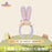 SHDL - 2026 Duffy and Friends Nature Campers Collection x StellaLou Ear Headband (Release Date: Apr 23, 2026)