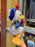 HKDL - 2026 Donald Duck Birthday Collection x Donald Duck "Pirate Hat" Plush Toy