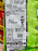 Doritos Japan - Avocado & Cheese Flavor Corn Chips - 55g