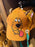 Universal Studios - Scooby-Doo! - Scooby-Doo Big Face Baseball Cap (Adult)