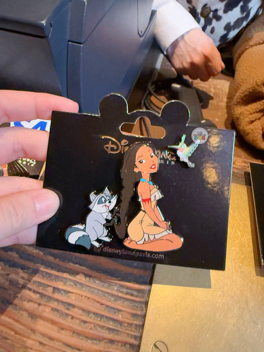 DLP - Pocahontas - Meeko, Pocahontas & Flit Pin