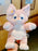 SHDL - Linabell Hand Puppet Plush Toy