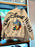 DLR/WDW - Aladdin 2026 - Aladdin, Jasmine, Genie & Jafar Park Logo White Sweatshirt Pullover (Adult)