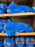 Universal Studios - KPop Demon Hunters - Derpy Sleeping Plush Toy