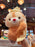 HKDL - Dreamy Afternoon x Dale Plush Toy
