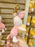 HKDL - Winnie the Pooh Lemon Honey Collection x Piglet Plush Keychain