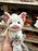DLR/WDW - Moana x Urupocha-Chan - Pua Plush Toy