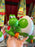 Universal Studios - Super Nintendo World - Yoshi Souvenir Sipper
