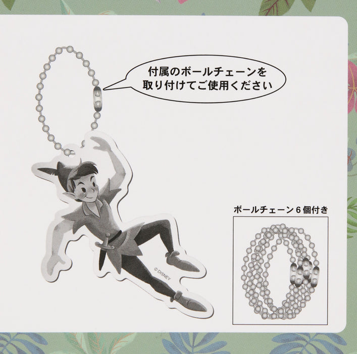 TDR - Fantasy Springs "Peter Pan Never Land Adventure" Collection x Lost Childen Keychains Set