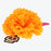 TDR - 2026 Coco Hair Clips Set of 2 (Release Date: Sep 15, 2026)