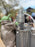 DLR/WDW - Star Wars 2026 - The Mandalorian and Grogu Jetpack Sipper