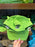 Universal Studios - Shrek - Shrek Character Baseball Cap (Adult)