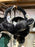DLR/WDW - Mickey Mouse Face Icon Fluffy Black Ear Muffs (Adult)