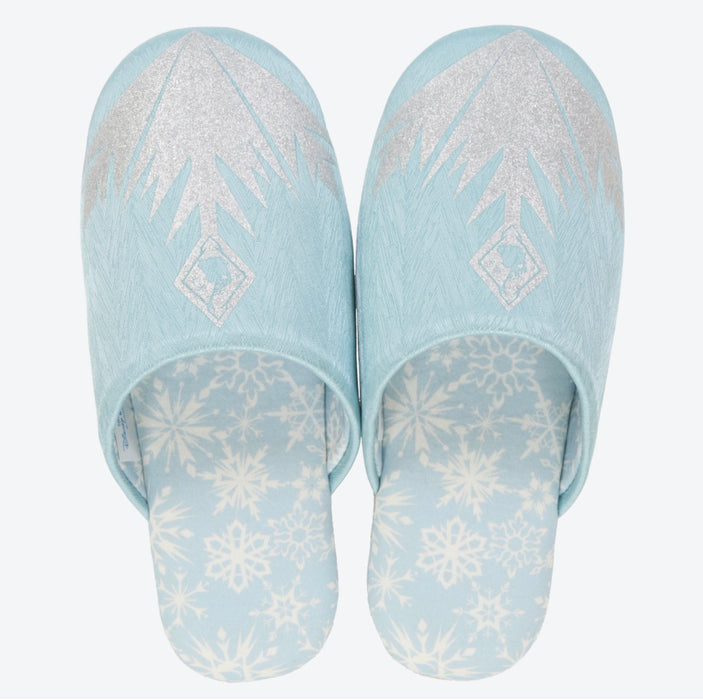 TDR - Fantasy Springs Anna & Elsa Frozen Journey Collection x Mat & Room Shoes Set