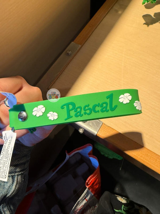 DLP - 2026 Tangled x Pascal Keychain & Strap