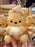 HKDL - Dreamy Afternoon x Winnie the Pooh Plushy Shaped Pouch