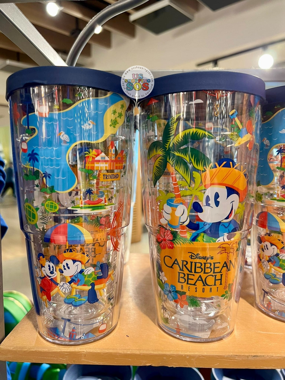 ディズニーバイナルメーション、（ ハワイミッキー、3Dグラスミッキー） WDW - Disney's Caribbean Beach Resort - Tervis Mickey and Minnie