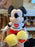 HKDL - Love Hong Kong Disneyland 2026 - Mickey Plush Toy