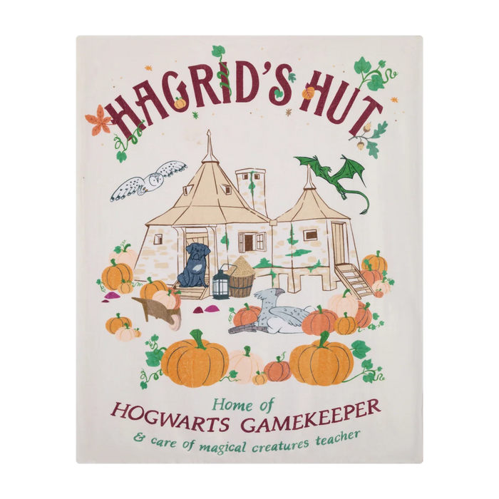 Harry Potter Japan Shop – 2026 Hagrid's Hut Collection Collection x Blanket