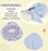 SHDS - Pooh & Friends Sweet Sorrow 2024 - Eeyore Plush Tissue Box Cover