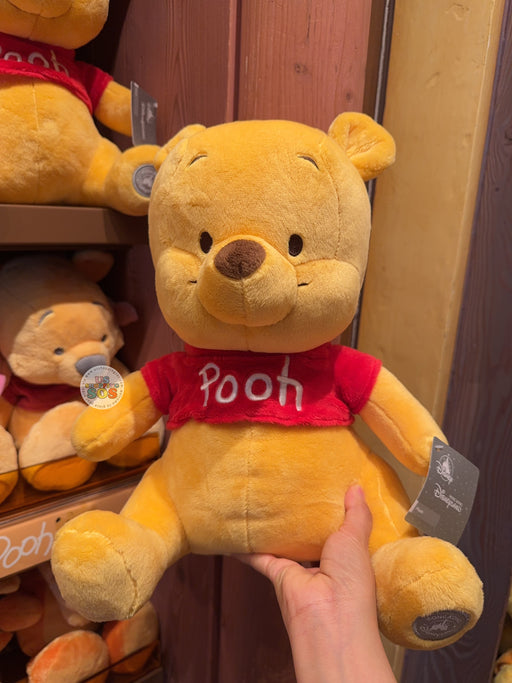 HKDL - Winnie the Pooh Plush Toy