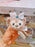 SHDL - 2026 Duffy & Friends 10th Birthday Celebration Collection x ShellieMay Create Your Own Headband Plush Toy
