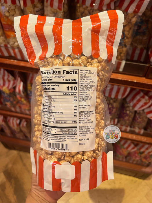DLR - Disney Main Street Popcorn - Churro