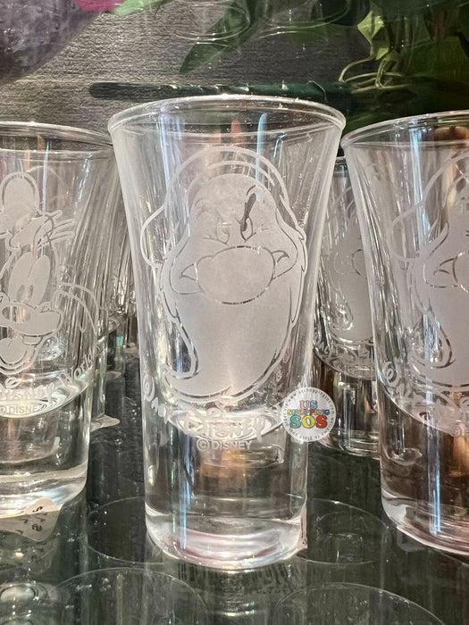 WDW - Grumpy Face Icon “Walt Disney World” Shot Glass Cup