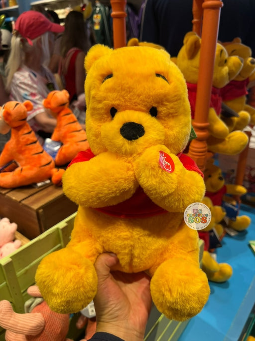 DLR/WDW - Winnie the Pooh Laughing & Shaking Plush Toy