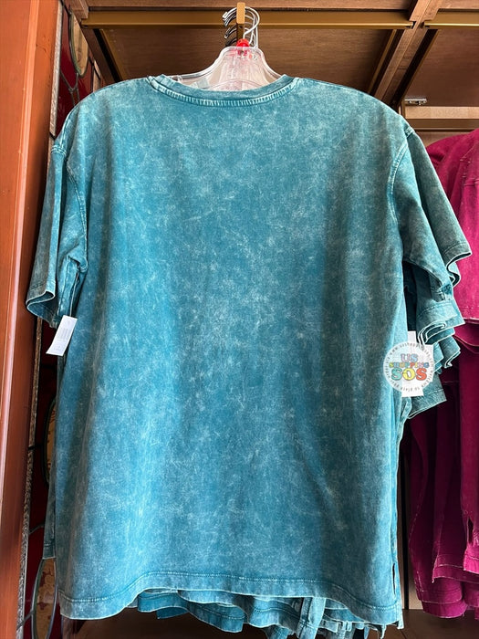 DLR/WDW - 2026 Walt Disney World 4-Park Icon Teal Vintage Wash Tee (Adult)