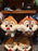 DLR/WDW - Chip ‘N Dale 2026 - Dale Big Head Small Body Hat