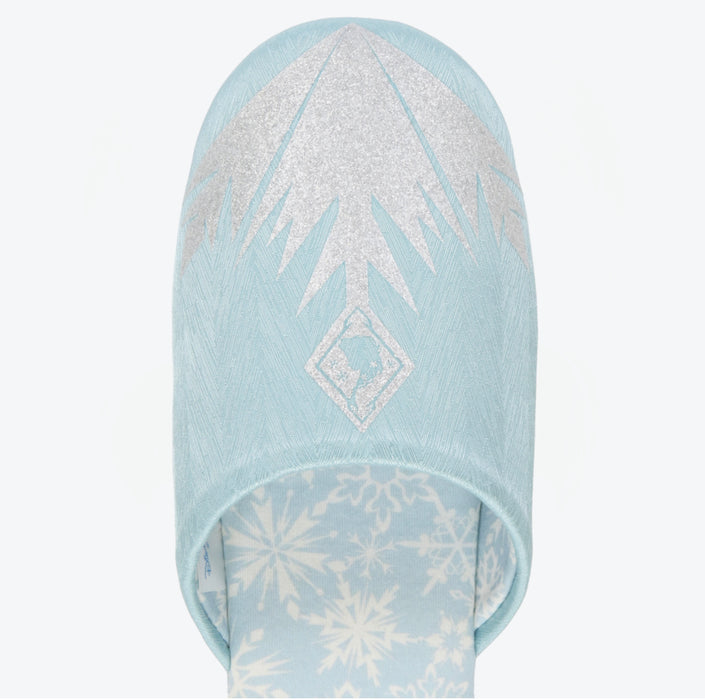 TDR - Fantasy Springs Anna & Elsa Frozen Journey Collection x Mat & Room Shoes Set