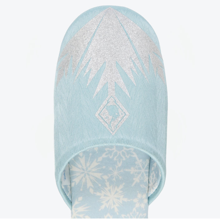 TDR - Fantasy Springs Anna & Elsa Frozen Journey Collection x Mat & Room Shoes Set