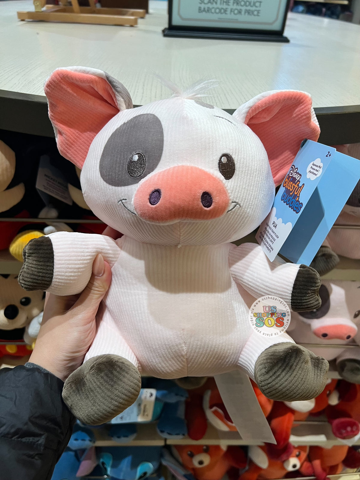 DLR/WDW - Disney Blissful Buddies - Pua Plush Toy — USShoppingSOS
