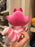 HKDL - 2026 Disney Cats x Cheshire Cat Plush Toy
