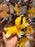 DLP - 2026 Chibi-Style "Naïf" Plush Toy - The Lion King Simba