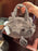 HKDL - Cinderella Lucifer ‘Big Face’ 3-Way Bag