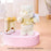 SHDS - Disney Sweetheart Ballet Collection x Winnie the Pooh Plush Keychain (Release Date: Aug 12, 2026)