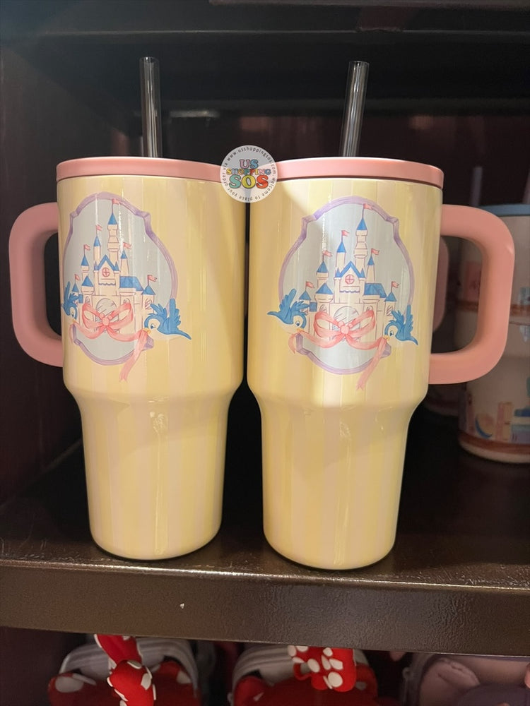 DLR/WDW - Castle, Blue Birds & Ribbon Stainless Steel Tumbler 22.7oz