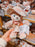 SHDL - 2026 Duffy and Friends Nature Campers Collection x ShellieMay Plush Toy (Release Date: Apr 23, 2026)